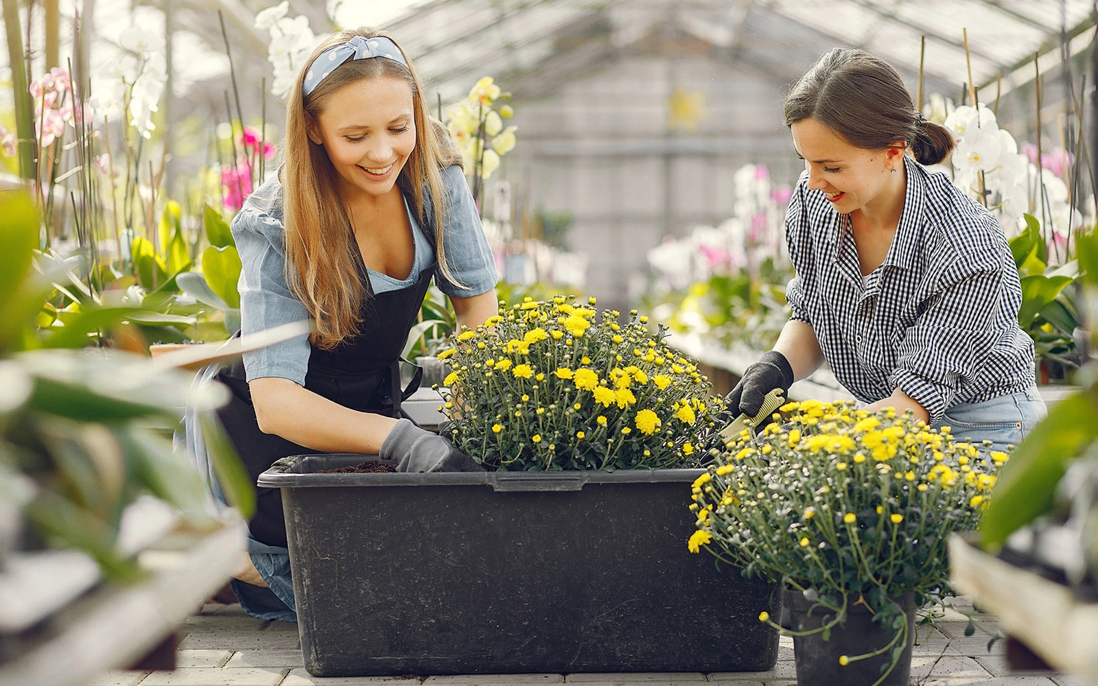 Maximizing Small Spaces for Big Garden Yields